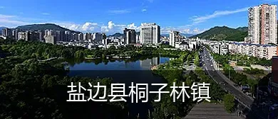 盐边县桐子林镇