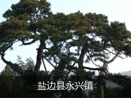盐边县永兴镇
